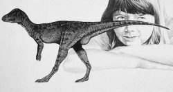 micropachycephalosaurus