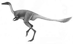 mononykus