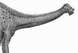nigersaurus
