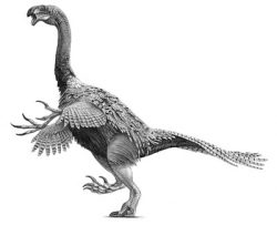 nothronychus