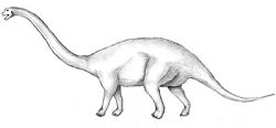 patagosaurus