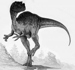 proceratosaurus