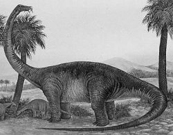 quaesitosaurus
