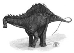rebbachisaurus
