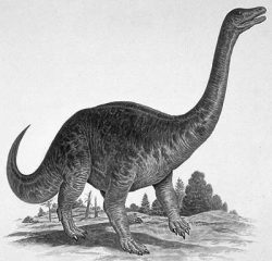 riojasaurus