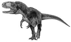 rugops