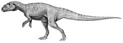 sinraptor
