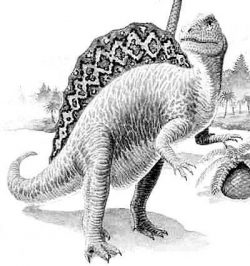 spino