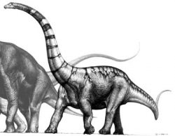 supersaurus