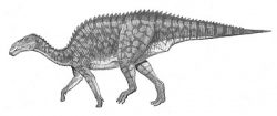 tanius