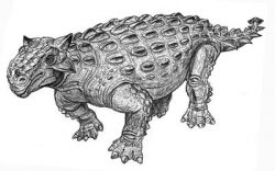 tarchia