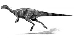 valdosaurus