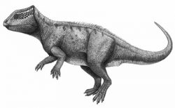 yinlong