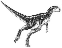 zephyro