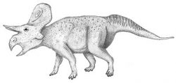 zuniceratops